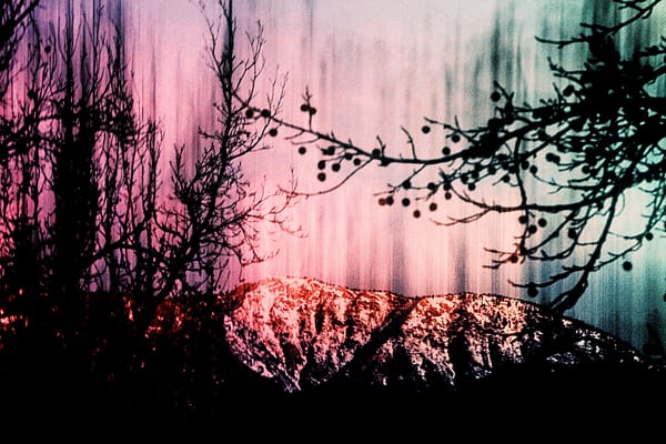 Winter's End